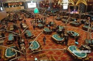 澳门最新爆料电话,揭秘幕后真相